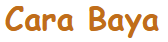 Bild "Links:logo-carabaya.png"